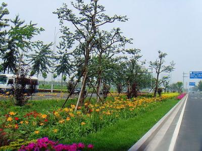 道路綠化養(yǎng)護(hù)