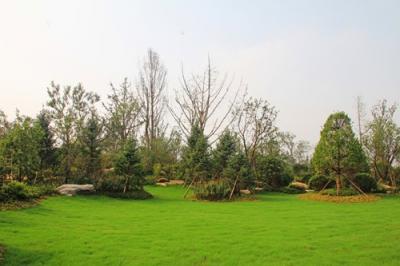 公園綠化養(yǎng)護(hù)