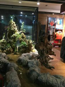 店內(nèi)假山裝飾